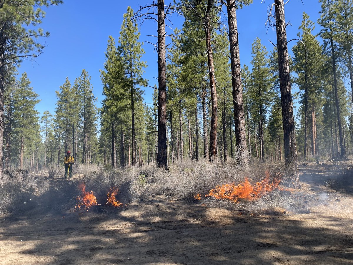 The test fire on Thor 3 approx. 5 miles NE of La Pine was favorable. Firefighters are continuing with ignitions on up to 173 acres.
