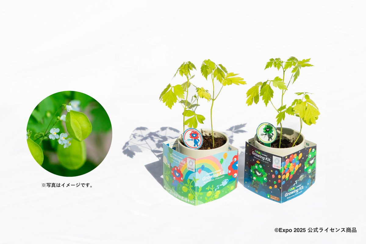 📢公式初。生き物グッズ、始動。 万博 with #西畠清順 & #西野亮廣