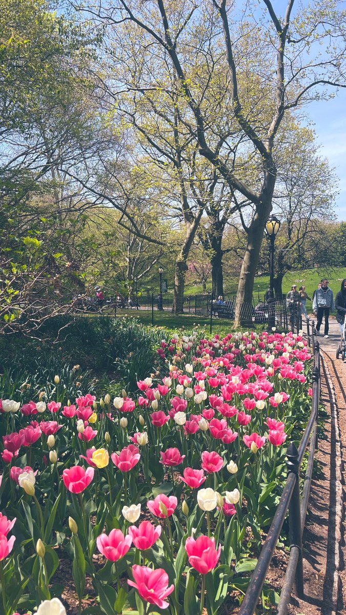 halsteady tweet media