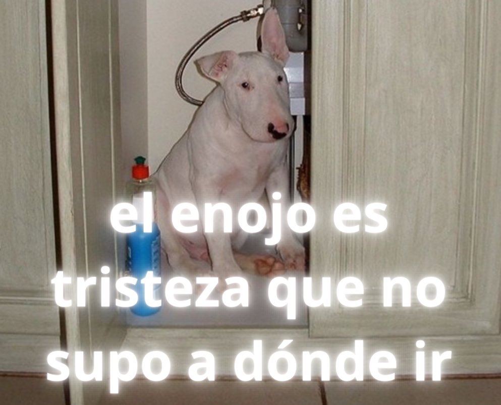 emociones amarillas (@conoloracigarro) on Twitter photo 