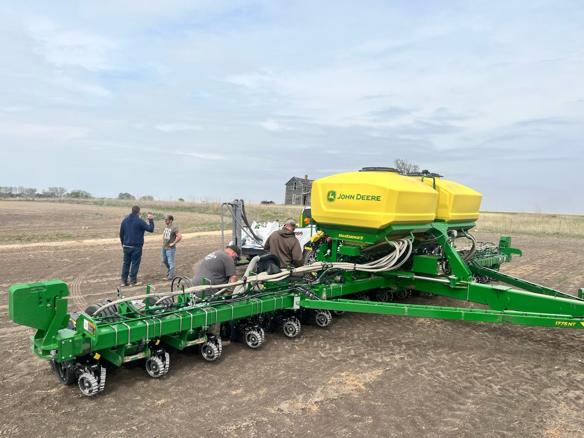 feed_grain's tweet photo. Alan Vogel dryland corn plot, Marion KS https://t.co/UeX0s08u0A