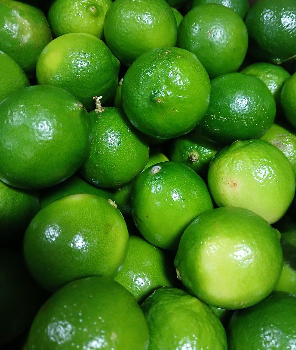 KimballProduce's tweet image. Limes: the tiny green MVPs of flavor 💚
Tacos? ✔️
Drinks? ✔️
Random cravings at 2am? ✔️
We got you.
#LimeLife #FlavorFirst #FreshAndZesty