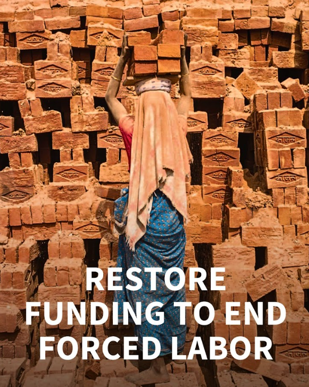 ATEST (@atest) on Twitter photo 100+ civil society organizations call on <a href="/USDOL/">U.S. Department of Labor</a> to restore funding to fight forced & child labor. These programs protect workers & ensure fair competition for American businesses. #ForcedLabor #humantrafficking Read the letter: shorturl.at/pCqxN 100+ civil society organizations call on <a href="/USDOL/">U.S. Department of Labor</a> to restore funding to fight forced & child labor. These programs protect workers & ensure fair competition for American businesses. #ForcedLabor #humantrafficking Read the letter: shorturl.at/pCqxN