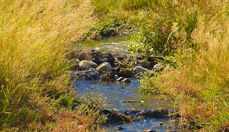 explorewithrene's tweet image. Unexpected time — from illness, injury or disruption — it doesn’t have to be wasted.

My latest reflection: In the meantime…

👉 explorewithrene.com/in-the-meantime

#CreativeGrowth #PersonalGrowth #Reflection #TimeWellSpent #ExploreWithRené