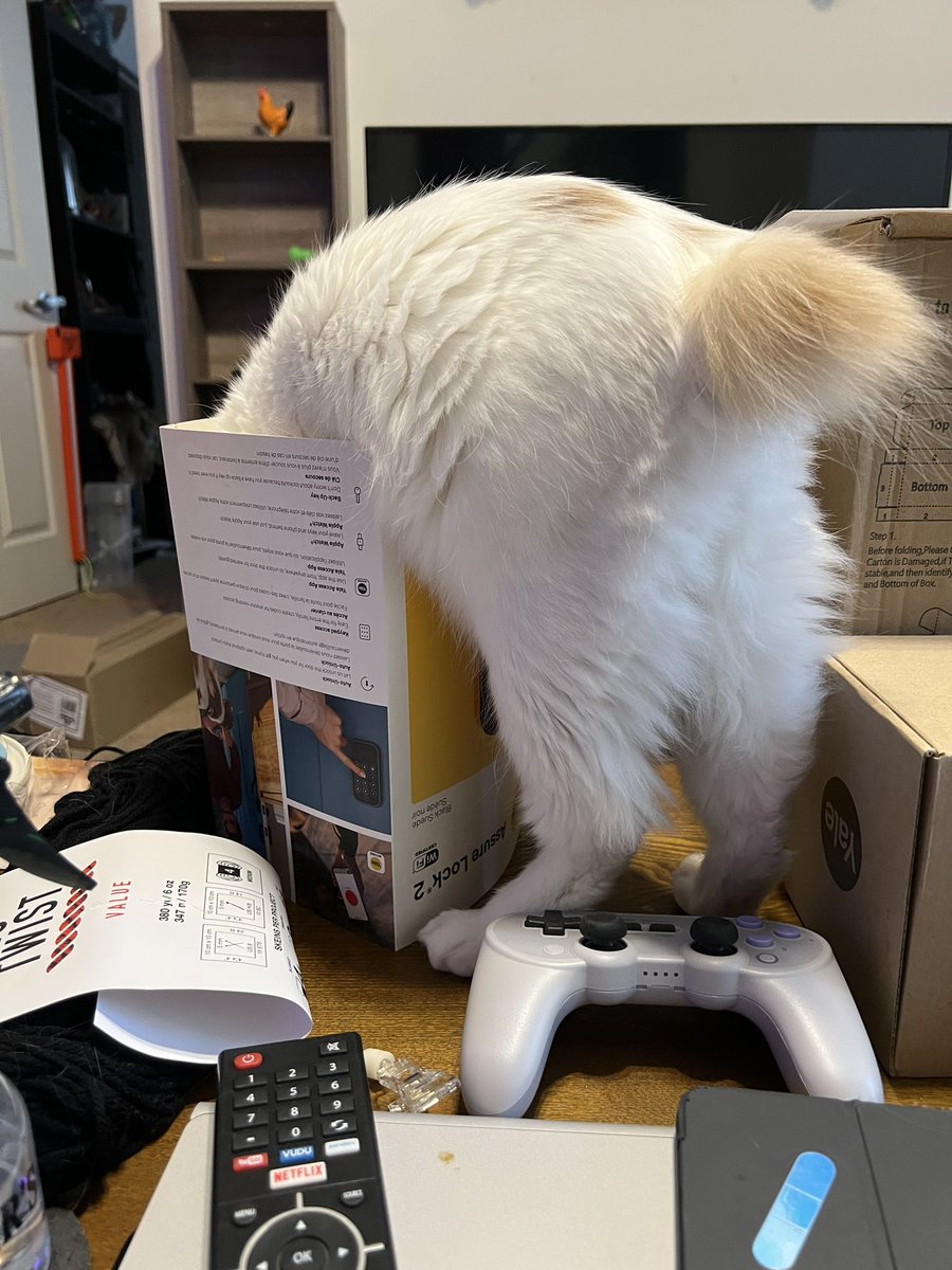 spoodbeemp's tweet photo. https://t.co/5WHbyteQuY