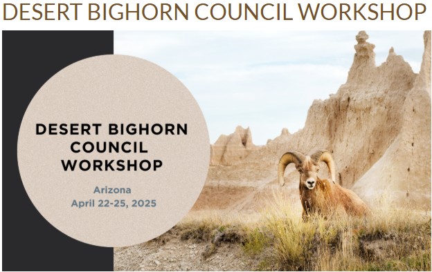 ATSTelemetry's tweet image. ATS is attending the 58th meeting of the WAFWA Desert Bighorn Council. It is being held on April 22-25, 2025 in Gold Canyon, Arizona at the Gold Canyon Resort. We hope you&apos;ll join us!
wafwa.org/workshops/dese…