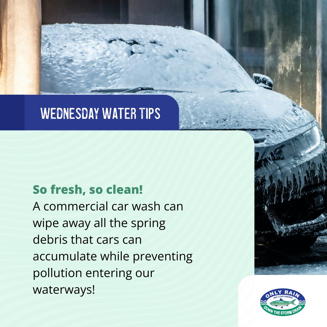 Northern Virginia Clean Water Partners (@nova_cwp) on Twitter photo Suds up! 💦This Water Tip Wednesday, we’re helping you keep your cars and our waterways clean. By taking your car to a commercial car wash which either has its water treated or recycled, you’re helping prevent pollution from entering local waterways.  onlyrain.org/car-maintenance Suds up! 💦This Water Tip Wednesday, we’re helping you keep your cars and our waterways clean. By taking your car to a commercial car wash which either has its water treated or recycled, you’re helping prevent pollution from entering local waterways.  onlyrain.org/car-maintenance