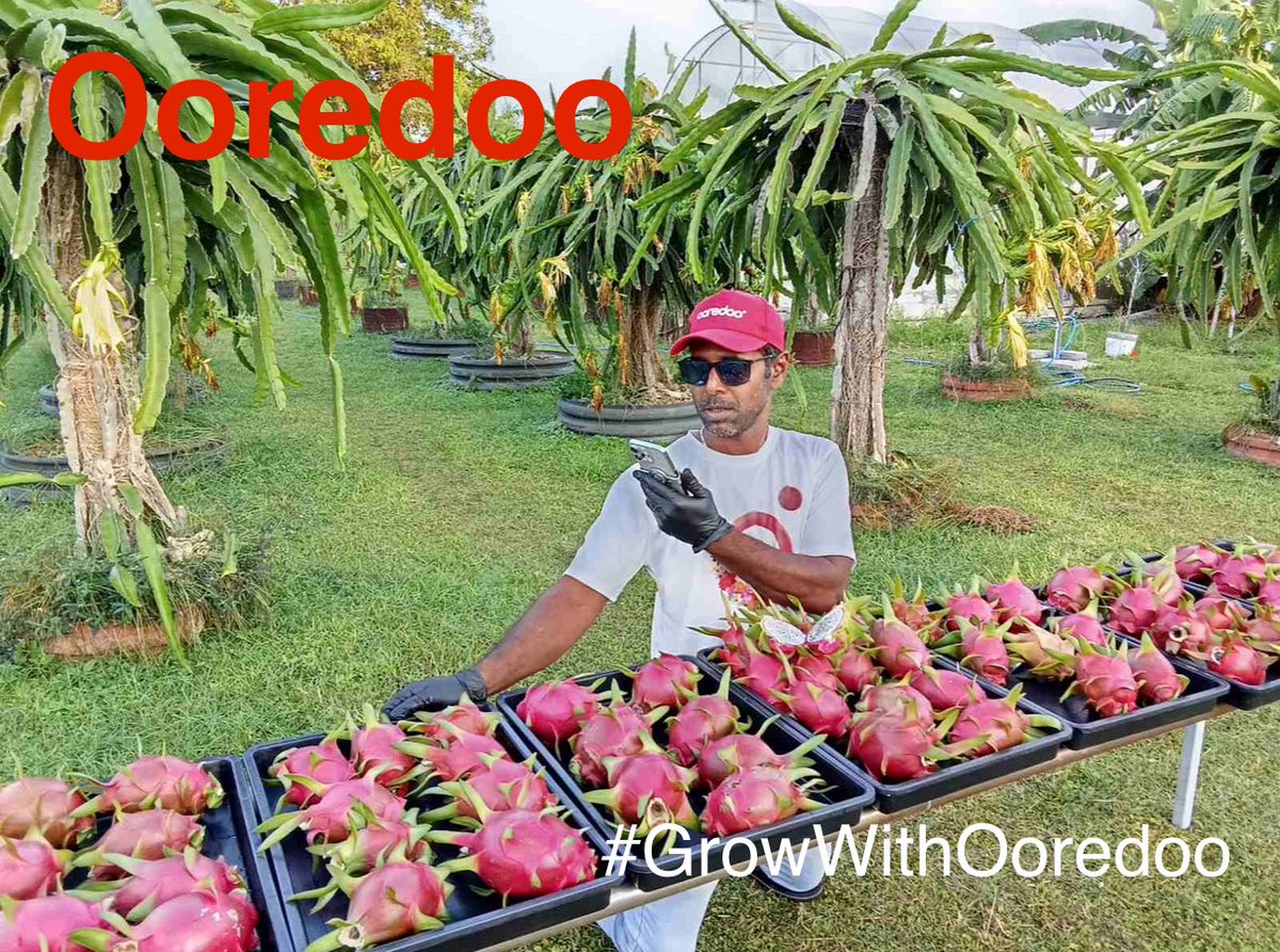 އެސްއެސްސީ 2025 ދިވެހި އިމްތިހާނު ކަރުދާހުގެ ދެވަނަ ދޭހައިގެ ސުވާލުގައި އޮތީ އަޅުގަނޑު ޒުވާންދަނޑުވެރިޔާ ރަމްޒީގެ ވަނަވަރެކެވެ. މިއީ  އިތުރު ހިއްވަރެއް ލިބިގެންދިޔަ ހަބަރެއް. މާތް الله ވާގިފުޅާއެކު މިކަމުގައި  ދެމިހުރުމަށް ގަދައަޅާ މަސަތްކައް ކުރާނަން.