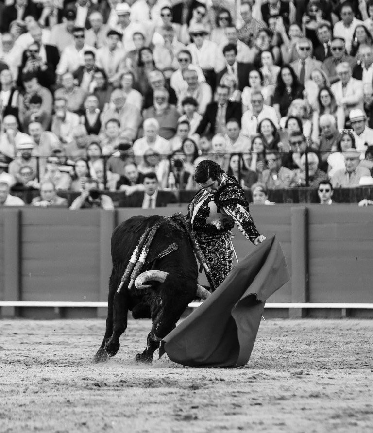 EsenciaToreo's tweet photo. “Morante es el más valiente de los toreros artistas, y el más artista de los toreros valientes”.

Antonio Lorca https://t.co/raiwMc2XVh