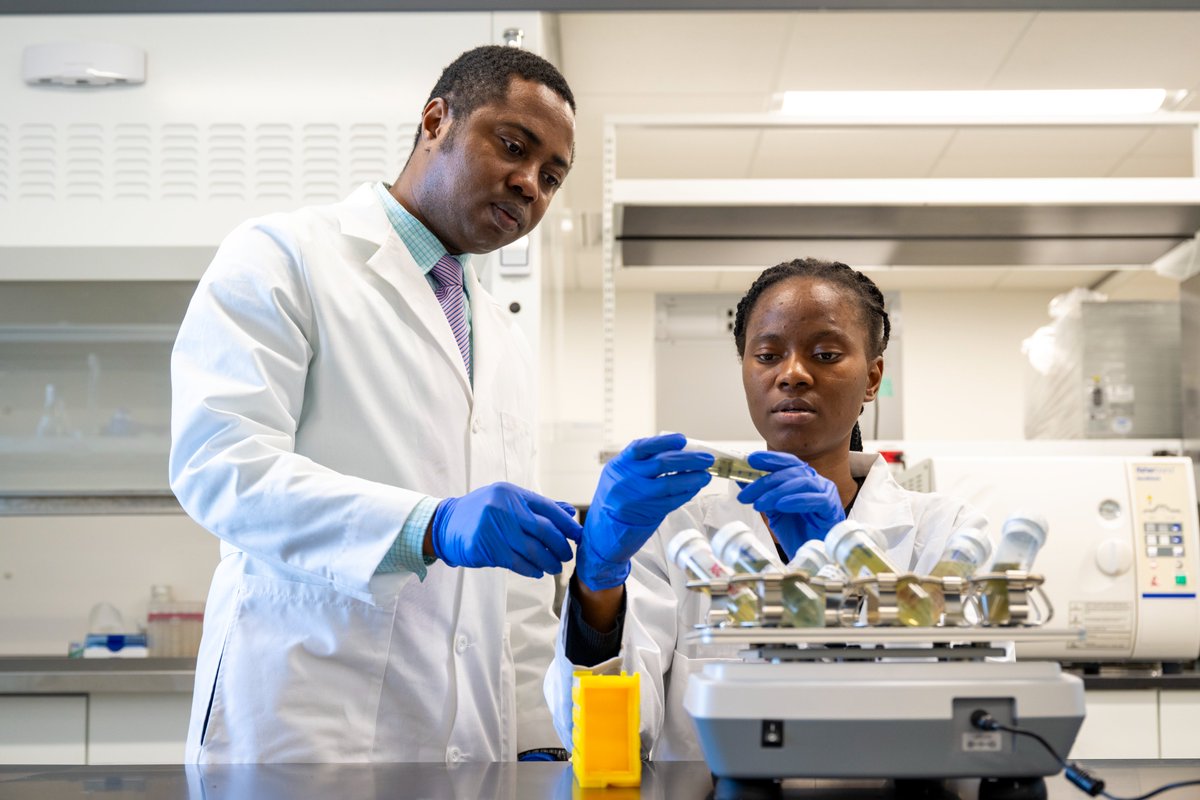 Congratulations, Margaret Taiwo! 🎉 Margaret has been awarded a 2025 American Association of Petroleum Geologists Foundation Grant-in-Aid—a highly competitive award that will support her research in Dr. Eze’s laboratory in our department. Well done, Margaret!
<a href="/sandtcase/">S&T College of Arts, Sciences, and Education</a>
