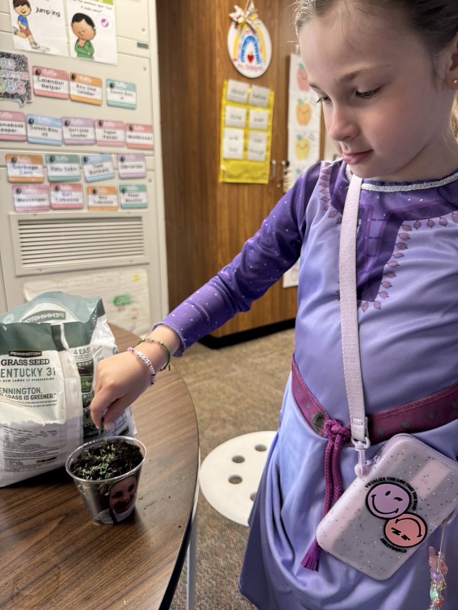 dclingingsmith1's tweet photo. Planting day! We have been learning about plants and what they need. Friends planted grass seed today. We will water the plants each day and watch as roots and then grass grow! π #fabulousfirsties #plantingday #handsonscience @VV_Voyagers https://t.co/kNHP4WYhxn