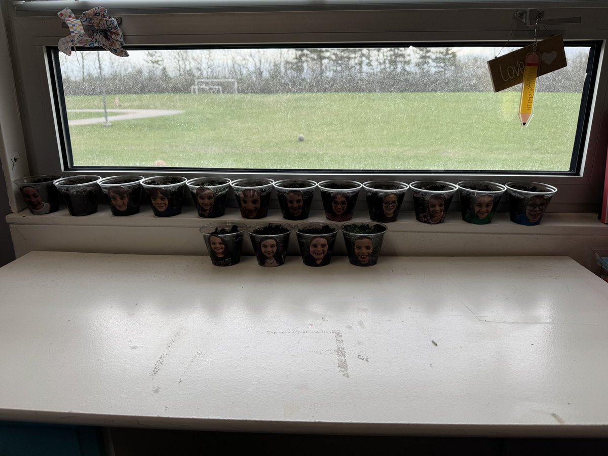 Dana Clingingsmith (@dclingingsmith1) on Twitter photo Planting day! We have been learning about plants and what they need. Friends planted grass seed today. We will water the plants each day and watch as roots and then grass grow! ๐ #fabulousfirsties #plantingday #handsonscience <a href="/VV_Voyagers/">VV Voyagers</a> Planting day! We have been learning about plants and what they need. Friends planted grass seed today. We will water the plants each day and watch as roots and then grass grow! ๐ #fabulousfirsties #plantingday #handsonscience <a href="/VV_Voyagers/">VV Voyagers</a>