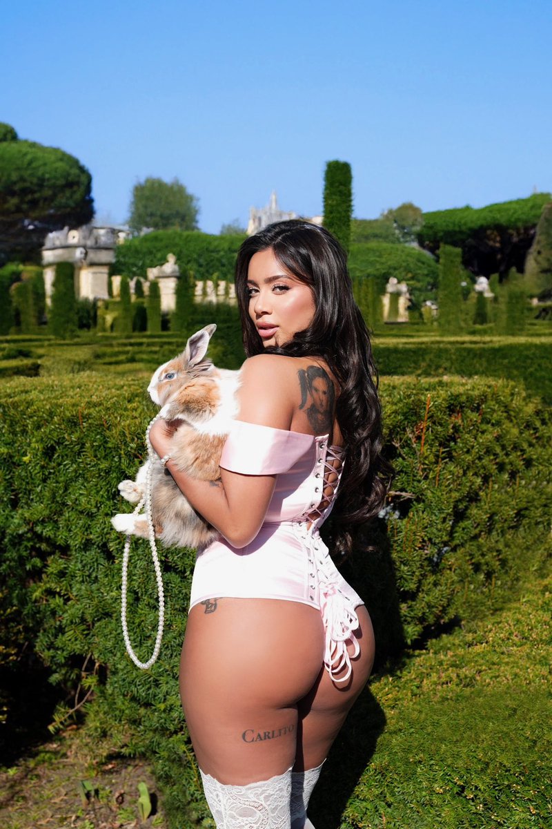 Silly rabbit!