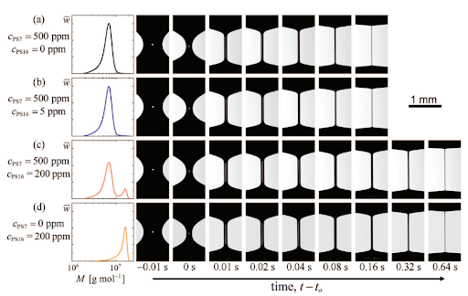 PhysRevX's tweet image. In dilute #polymer solutions, elastocapillary thinning at different timescales is influenced by a combination of the polymer concentration and the molecular weight fraction, according to this study from scientists at @OISTedu.

go.aps.org/4lIJMJJ

#FluidDynamics #SoftMatter