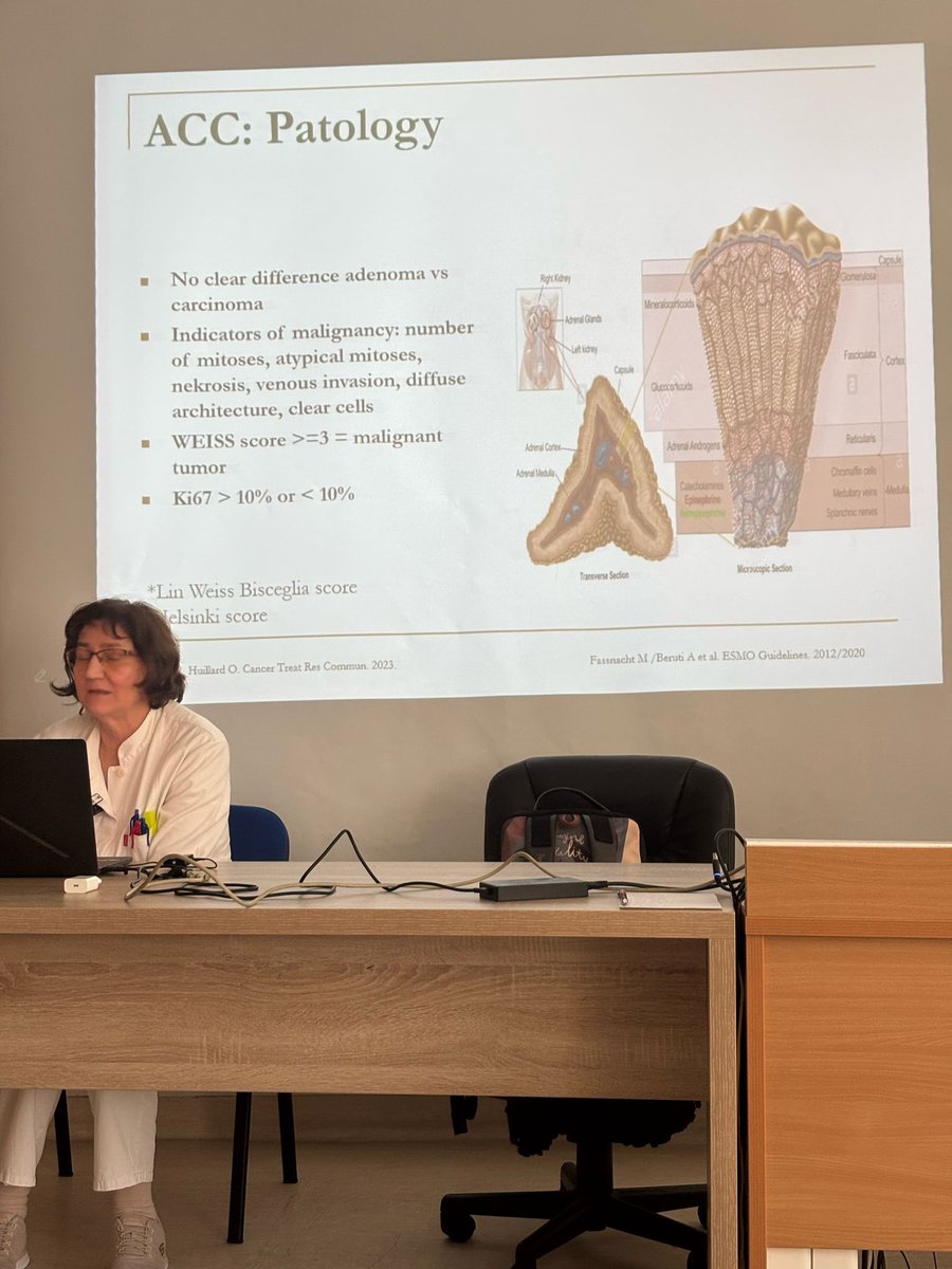 Croatian young endocrinologists (@croendoyoung) on Twitter photo Ahead of #WorldHormoneDay, we held a mini hybrid symposium on "Challenges in the Treatment of ACC".
It was insightful, motivating, and a real boost for future work! 🥰
<a href="/ZibarKarin/">Karin Zibar Tomsic</a> <a href="/mirjana__dukic/">Mirjana Đukić</a> <a href="/DarkoKastelan/">Darko Kastelan</a> <a href="/anja_barac/">Anja Barač Nekić</a> Ahead of #WorldHormoneDay, we held a mini hybrid symposium on "Challenges in the Treatment of ACC".
It was insightful, motivating, and a real boost for future work! 🥰
<a href="/ZibarKarin/">Karin Zibar Tomsic</a> <a href="/mirjana__dukic/">Mirjana Đukić</a> <a href="/DarkoKastelan/">Darko Kastelan</a> <a href="/anja_barac/">Anja Barač Nekić</a>