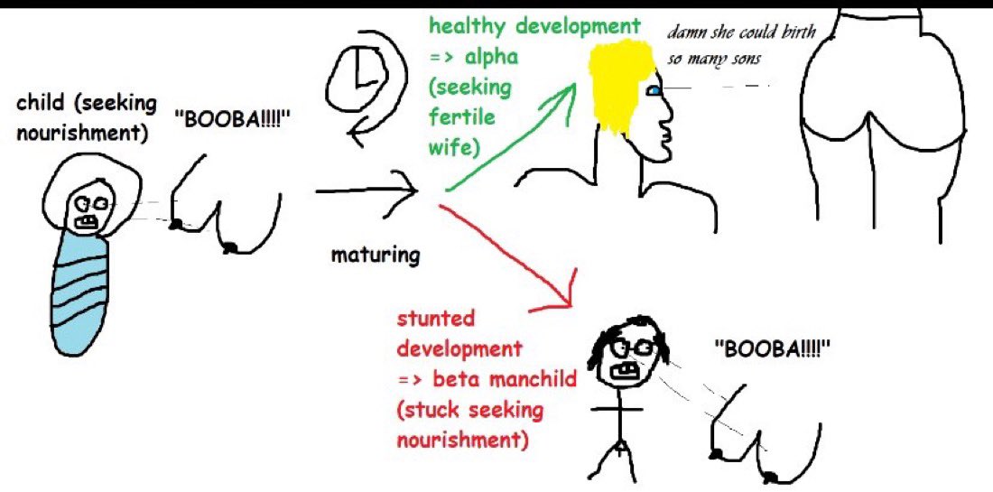 Big tiddies are for manipulating the lower class

Show a poor man a set of Ds and he’ll throw his life away

The aristocrat knows the slim B/bubble butt combo is the way to dynastic power