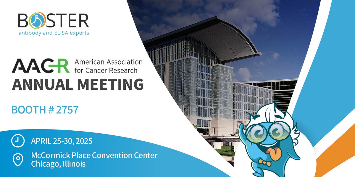 🎗️ Join us in Chicago for #AACR2025, April 25–30!
📍 Visit Booth #2757 to grab expert resources &amp; a surprise giveaway 🎁
Let’s talk about how Boster can help power your cancer research.
We can’t wait to meet you! 👋 #CancerResearch #LifeScience