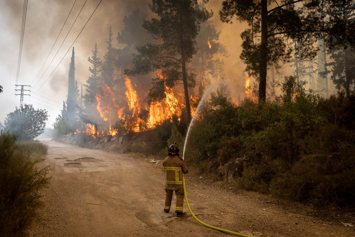 all_israel_news's tweet photo. Fires rage near Beit Shemesh and in central Israel; police prepare to close Route 1 https://t.co/mRVcjeZMu4

#Israel #BeitShemesh #IsraelWildfires #EshtaolForest #CentralIsrael #WildfireAlert https://t.co/3T3Tsu3uxp