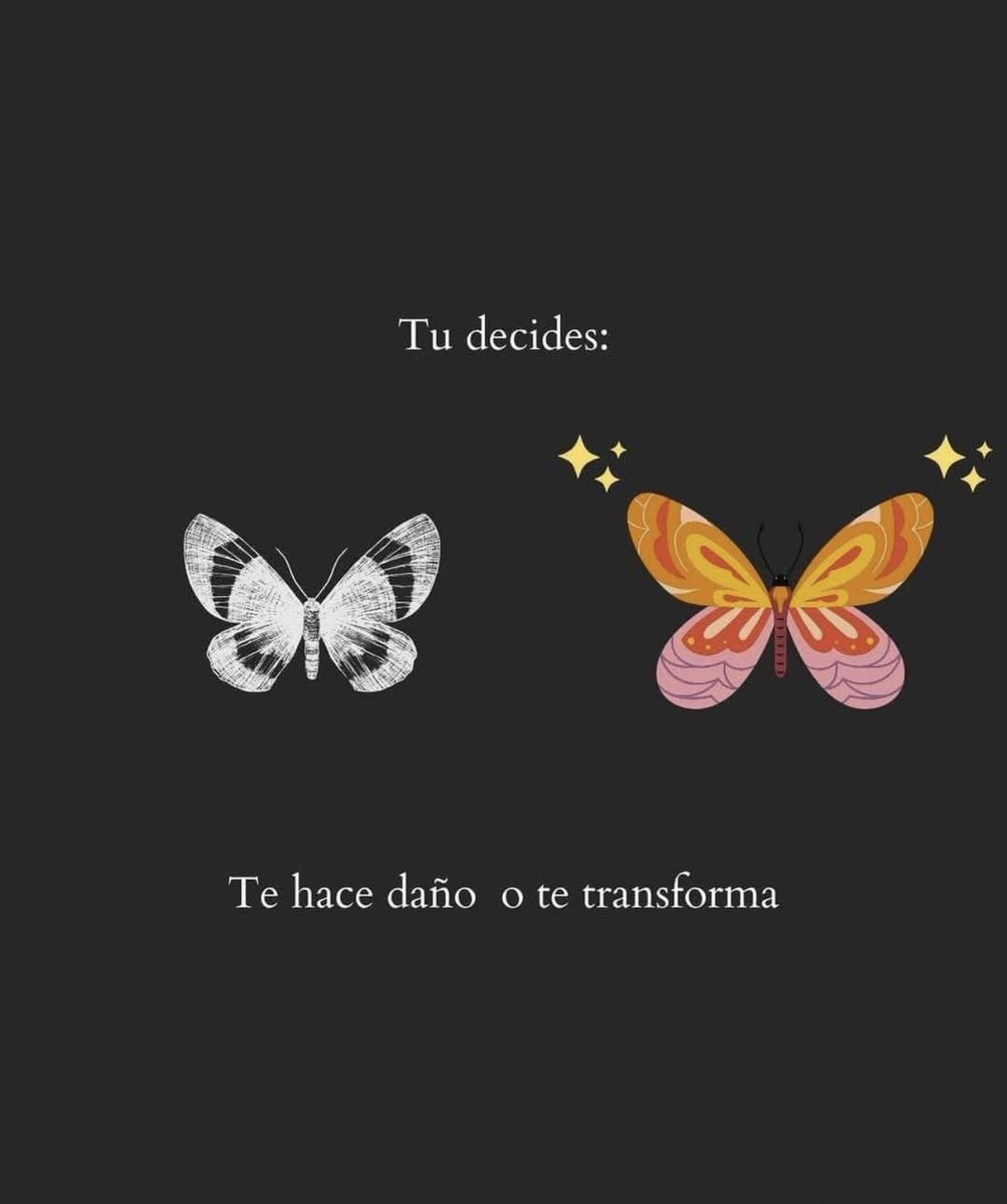 Feellg2's tweet image. 