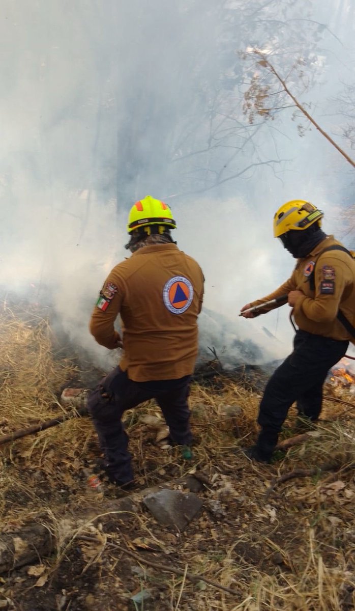 Protección Civil Miguel Hidalgo (@mhprevencion) on Twitter photo Se atiende incendio de pastizal en Bosques de las Lomas. No tenemos personas lesionadas o intoxicadas. <a href="/OlaMHmx/">Servicios Urbanos MH</a> <a href="/Bomberos_CDMX/">Bomberos Ciudad de México Oficial</a> <a href="/MHPrevencion/">Protección Civil Miguel Hidalgo</a> <a href="/mauriciotabe/">Mauricio Tabe Echartea</a> Se atiende incendio de pastizal en Bosques de las Lomas. No tenemos personas lesionadas o intoxicadas. <a href="/OlaMHmx/">Servicios Urbanos MH</a> <a href="/Bomberos_CDMX/">Bomberos Ciudad de México Oficial</a> <a href="/MHPrevencion/">Protección Civil Miguel Hidalgo</a> <a href="/mauriciotabe/">Mauricio Tabe Echartea</a>