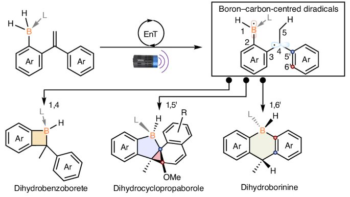 Boron-Chem-Research (@boron_chemistry) on Twitter photo Synthesis of strained, air-stable boracycles via boron–carbon-centred diradicals (<a href="/NatureChemistry/">Nature Chemistry</a>): nature.com/articles/s4155… (<a href="/YangjianQUAN/">Yangjian Quan (QUAN LAB)</a>). Synthesis of strained, air-stable boracycles via boron–carbon-centred diradicals (<a href="/NatureChemistry/">Nature Chemistry</a>): nature.com/articles/s4155… (<a href="/YangjianQUAN/">Yangjian Quan (QUAN LAB)</a>).