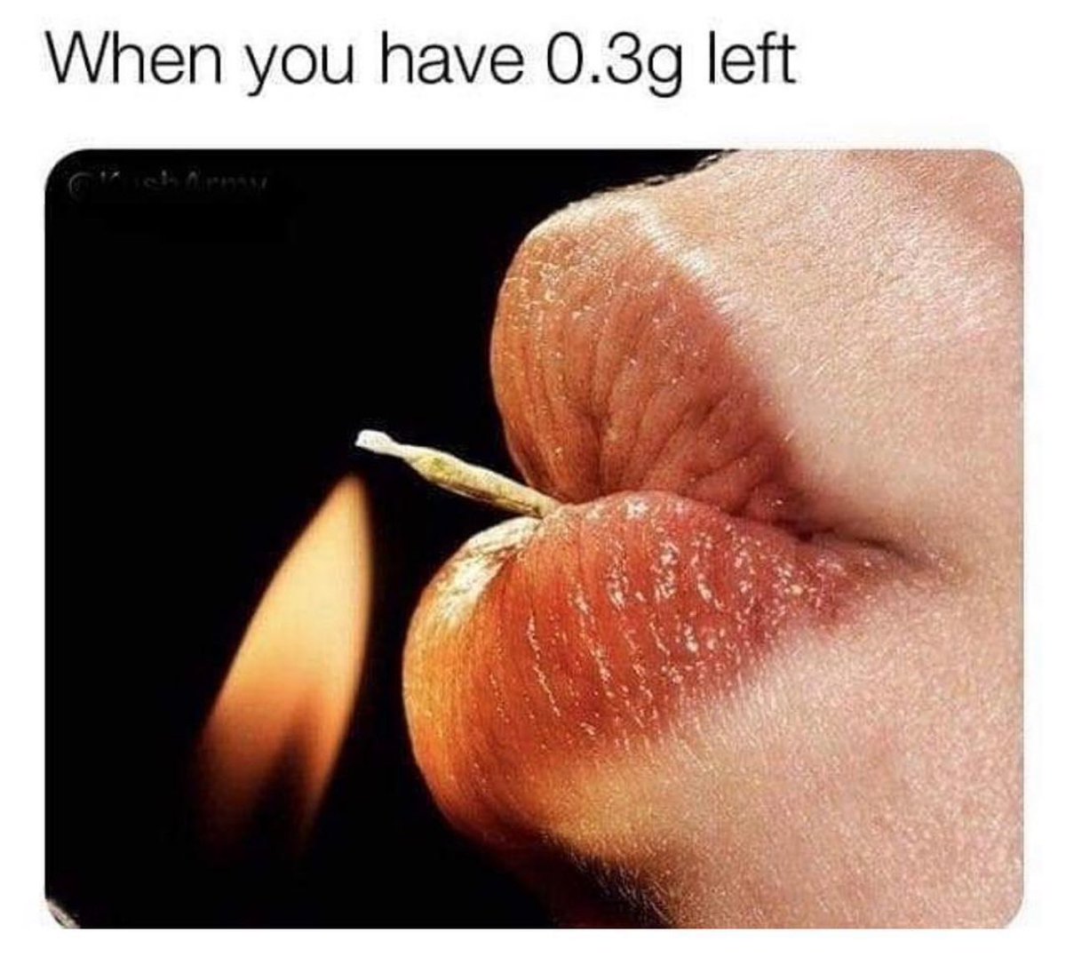 SnowTree (@snowtreeclean) on Twitter photo 