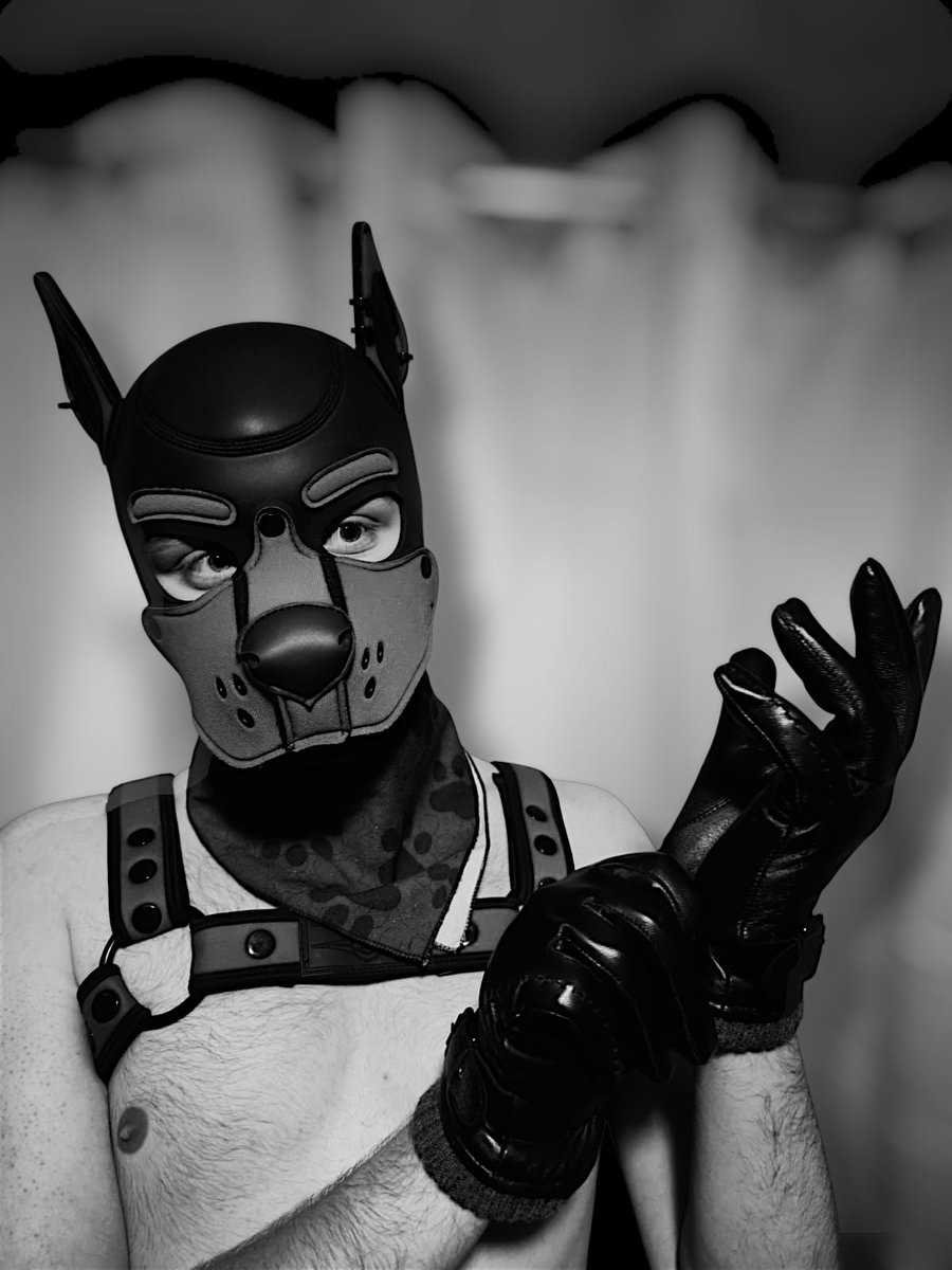 Who's ready for some fun 😈

#pupplay #gaypup #gayman #nsfw #horny