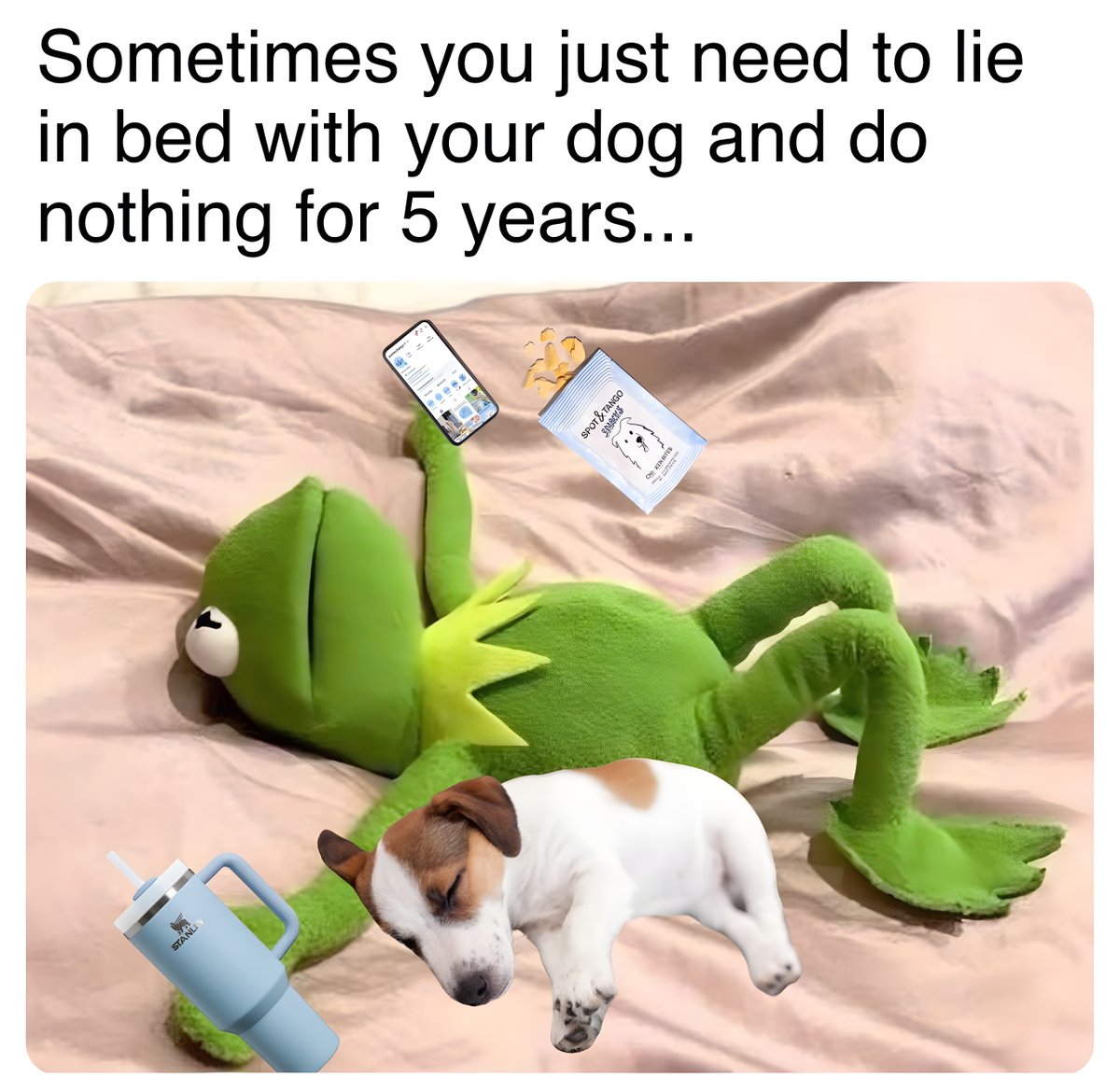 The Dalbo Dog (@dalbodog) on Twitter photo 