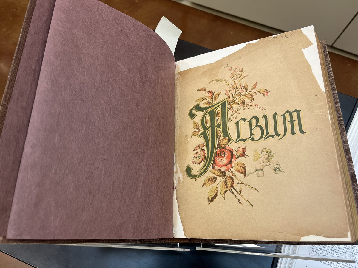 NTBG's tweet photo. Here’s a closer look at 19th century botanist William Hillebrand's book of pressed #Hawaiian ferns described above. #WorldBookDay2025 https://t.co/5RHA7naw3Q