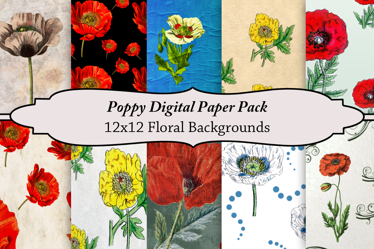 valerieraeg's tweet image. Bold, bright &amp;amp; blooming with charm! 🌺✨ This Poppy Digital Paper Pack is perfect for scrapbooking, cards, DIY crafts, book covers and vibrant spring projects. Add a splash of floral to your designs!
#DigitalPapers #FloralDesigns #ScrapbookingLove #PoppyFlowers #Poppies…