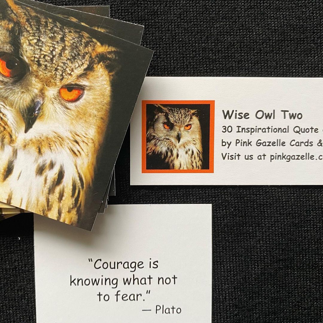 maryanne_pope's tweet photo. Let’s face it: facing our fears can be daunting indeed.
Wednesday's Blog: Fear Versus Intuition https://t.co/BZpNleceue
#WednesdayWisdom #blog #fear #intuition #listentoyourgut #intuitionversusfear #WednesdayBlog https://t.co/MPNEdfBg9Z