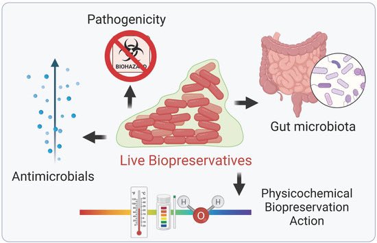 Pere Puigbò tweet media