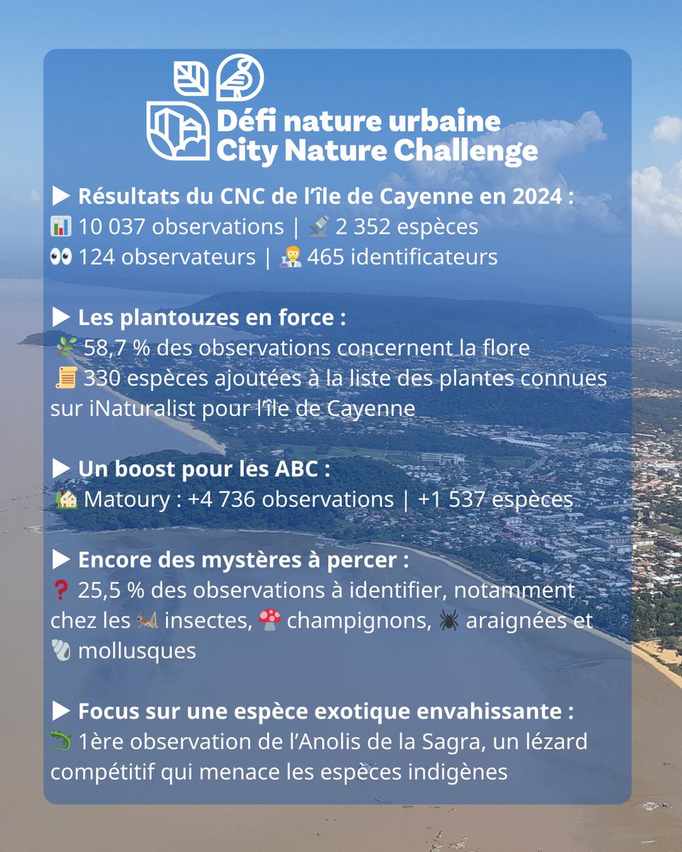 LabEx CEBA (@cebalabex) on Twitter photo Rejoignez le #CityNatureChallenge 2025 en #Guyane : un défi de sciences participatives autour de la biodiversité amazonienne !
🦋Du 25 au 28 avril pour les observations
🔎Du 29 avril au 4 mai pour la phase d'identification
<a href="/inaturalist/">iNaturalist</a> Rejoignez le #CityNatureChallenge 2025 en #Guyane : un défi de sciences participatives autour de la biodiversité amazonienne !
🦋Du 25 au 28 avril pour les observations
🔎Du 29 avril au 4 mai pour la phase d'identification
<a href="/inaturalist/">iNaturalist</a>