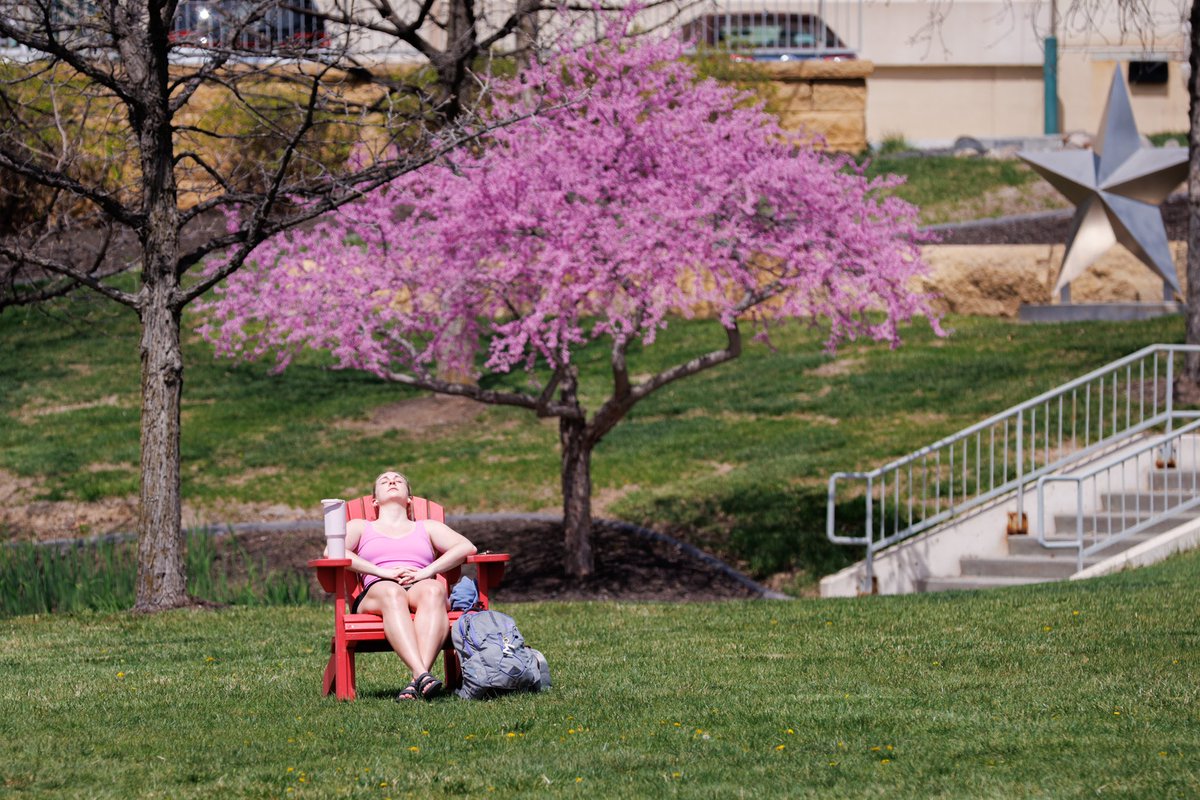 Campus is in full bloom 🌸