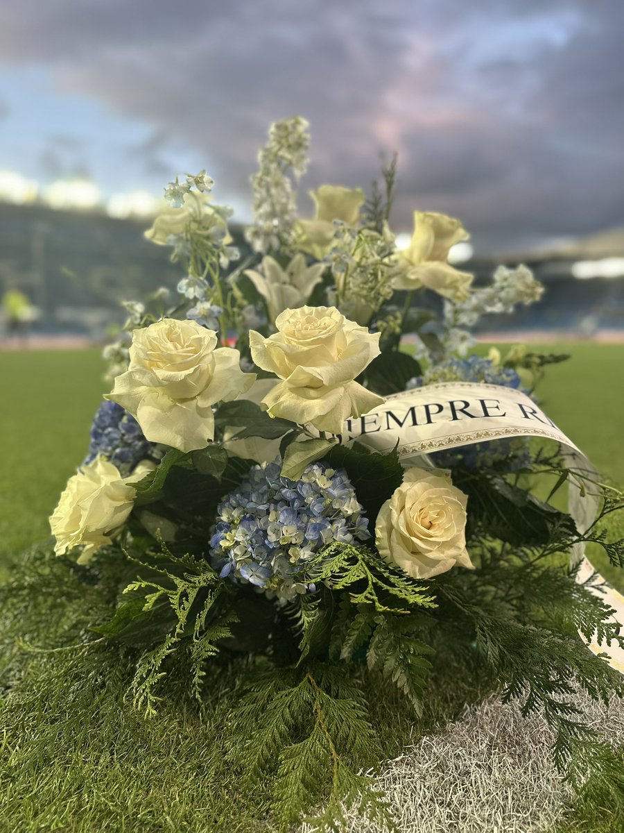 🕊️💙 En tu silla de siempre.

Feliz cumpleaños, Fermín! 🎂
Zorionak!

#GoazenGlorioso ⚪️🔵