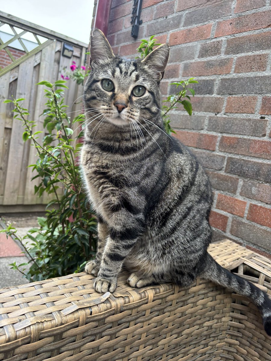 Ikke bent knappe jonge zegt vrouwtje 😻