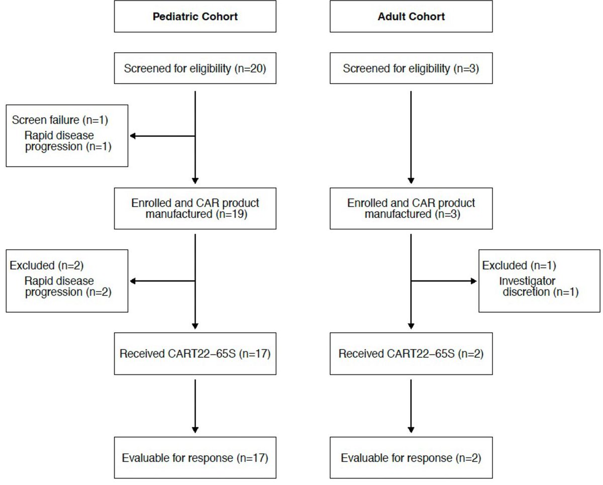 Journal for ImmunoTherapy of Cancer (@jitcancer) on Twitter photo New #JITC article: CD22-targeted chimeric antigen receptor-modified T cells for children and adults with relapse of B-cell acute lymphoblastic leukemia after CD19-directed immunotherapy bit.ly/3EDIVJu <a href="/MarcoRuella/">Marco Ruella</a> @gruppsteve <a href="/reginamyersmd/">Regina Myers</a> <a href="/CarolineDiorio/">Caroline Diorio</a> New #JITC article: CD22-targeted chimeric antigen receptor-modified T cells for children and adults with relapse of B-cell acute lymphoblastic leukemia after CD19-directed immunotherapy bit.ly/3EDIVJu <a href="/MarcoRuella/">Marco Ruella</a> @gruppsteve <a href="/reginamyersmd/">Regina Myers</a> <a href="/CarolineDiorio/">Caroline Diorio</a>