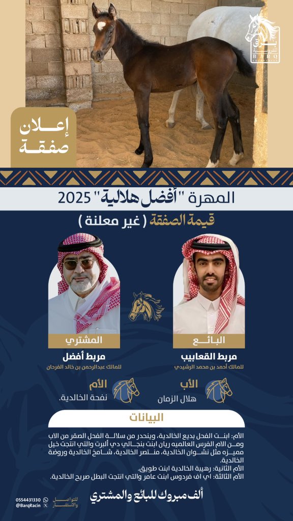 إعلان صفقة
انتقال المهرة “أفضل هلالية” 2025
الأب: هلال الزمان | الأم: نفحة الخالدية
من مربط القعابيب – المالك أحمد الرشيدي
إلى مربط أفضل – المالك عبدالرحمن الفرحان
ألف مبروك للبائع والمشتري
#برق_للفروسية