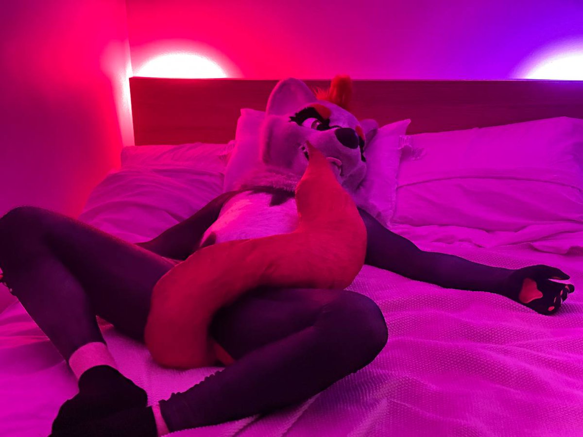 J @ FWA (@jo_afterdark) on Twitter photo It's #WaggeryWednesday, and this is how you can find me at FWA!
Feel free to say hi!
Party invites appreciated ๐ฅน
๐: <a href="/WaggeryCos/">Waggery Costumes</a>
๐ฆ: <a href="/MauBishop49/">M A U ๐ฆ
</a>
๐: <a href="/MenagerieWorks/">MenagerieWorkshop.</a> It's #WaggeryWednesday, and this is how you can find me at FWA!
Feel free to say hi!
Party invites appreciated ๐ฅน
๐: <a href="/WaggeryCos/">Waggery Costumes</a>
๐ฆ: <a href="/MauBishop49/">M A U ๐ฆ
</a>
๐: <a href="/MenagerieWorks/">MenagerieWorkshop.</a>