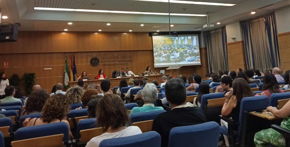 AMIE organizes yearly in Spain a Conference on research on education with the participation of 600 to 800 professors and researchers. Our senior and junior representatives are now participating in AERA