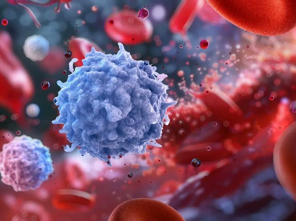 Duke GI (@duke_gi_) on Twitter photo 🚨 Duke-led study uncovers key mechanisms behind immunotherapy resistance in melanoma & colon cancer. Nicholas DeVito, MD and team reveal the role of GLI2 in regulating immunosuppressive pathways. Potential new therapeutic strategies ahead! 🧬 <a href="/jatinroper/">Jatin Roper</a> <a href="/AACR/">AACR</a> <a href="/dukemedicine/">Duke Department of Medicine</a> 🚨 Duke-led study uncovers key mechanisms behind immunotherapy resistance in melanoma & colon cancer. Nicholas DeVito, MD and team reveal the role of GLI2 in regulating immunosuppressive pathways. Potential new therapeutic strategies ahead! 🧬 <a href="/jatinroper/">Jatin Roper</a> <a href="/AACR/">AACR</a> <a href="/dukemedicine/">Duke Department of Medicine</a>