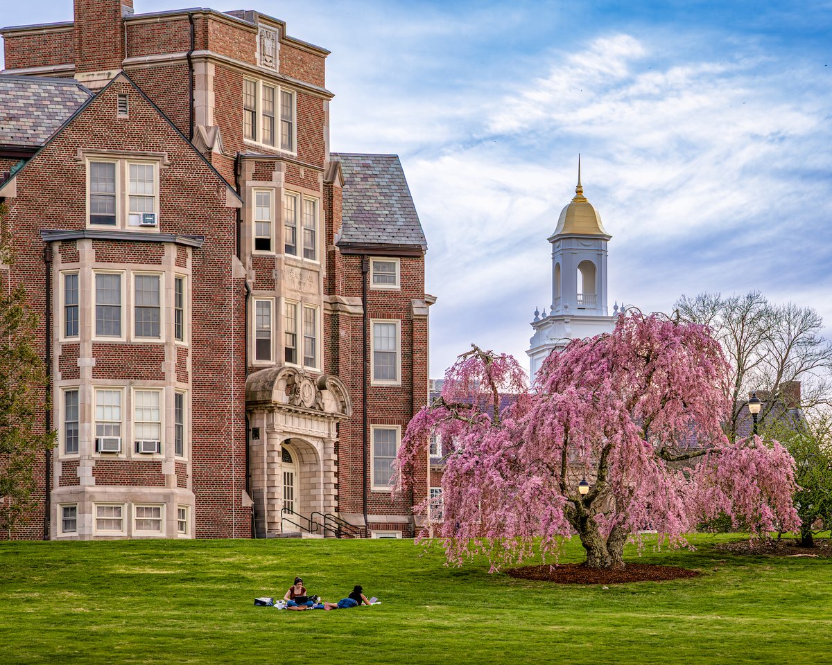 UConn's tweet photo. Picture perfect.

📸 @miltonlevin https://t.co/yQOk3sW73F