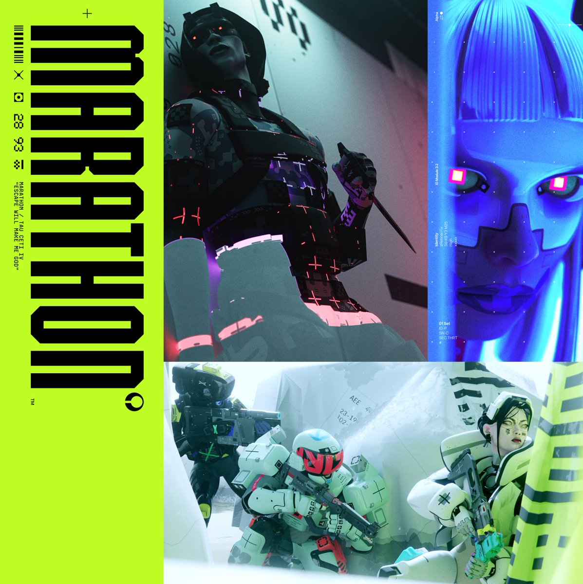 Marathon Bulletin tweet media