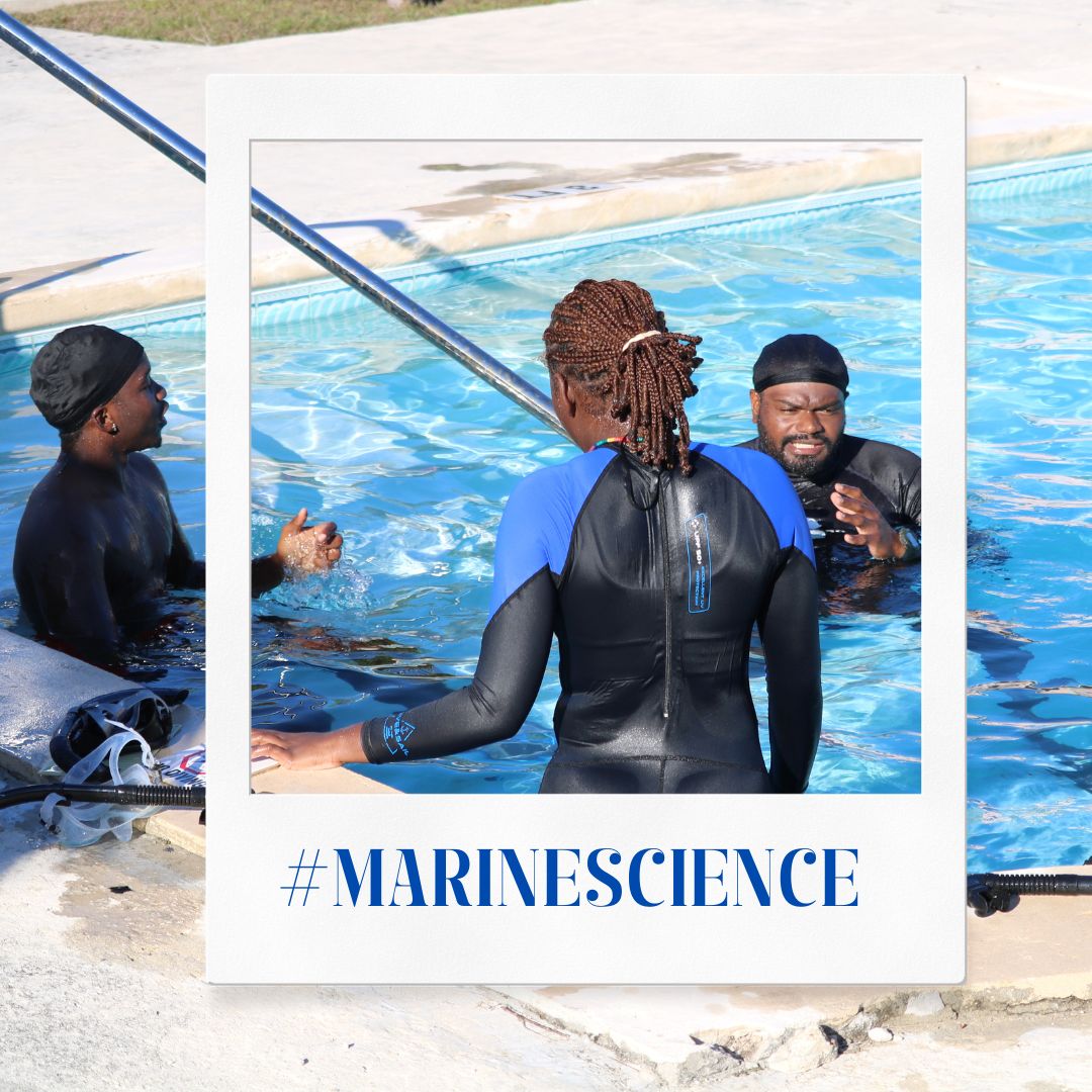 BamsiB's tweet photo. From the classroom to the coastline students dive into hands-on learning as they master the basics:  Marine science students begin their journey with swim instruction and essential dive training — building confidence, competence and a real connection to the ocean.
#BAMSI242 https://t.co/K6K10896P5