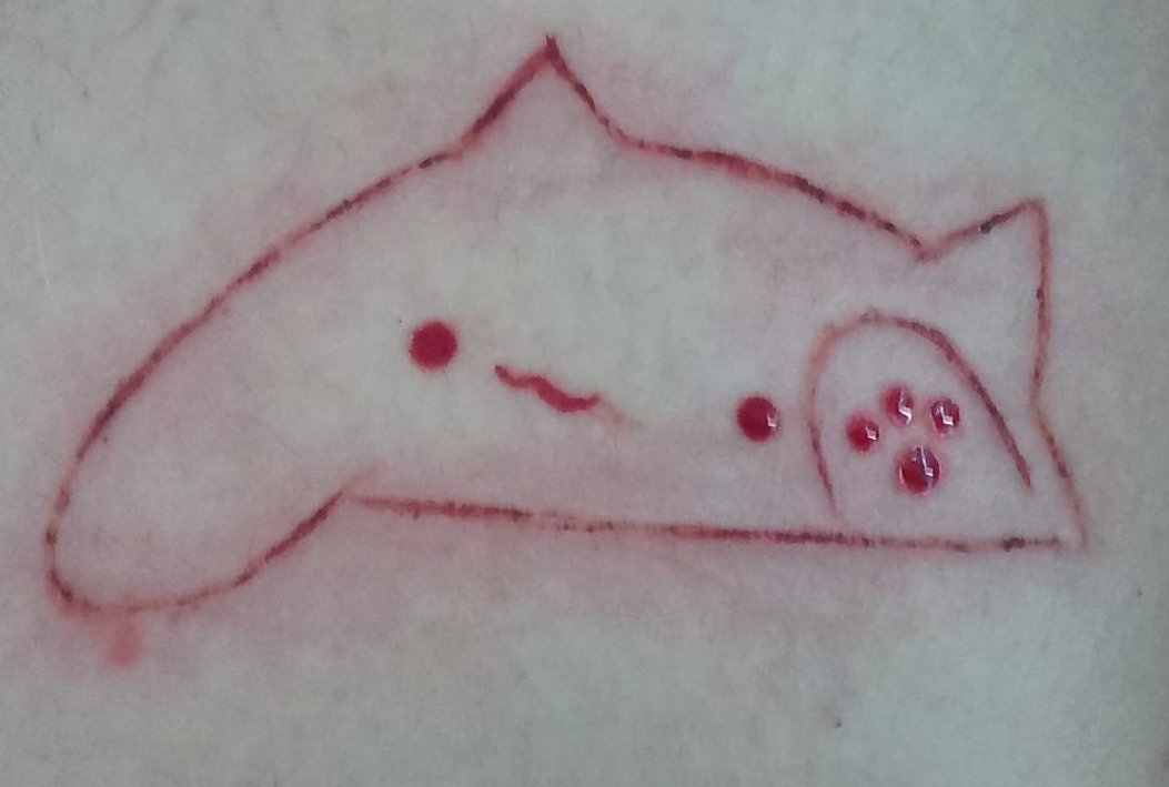 lawwloveskaiser's tweet photo. El otro día un amigo m dijo ke m cortara al bongo cat y se m hizo una idea cute jjj https://t.co/Fa7LanYONk