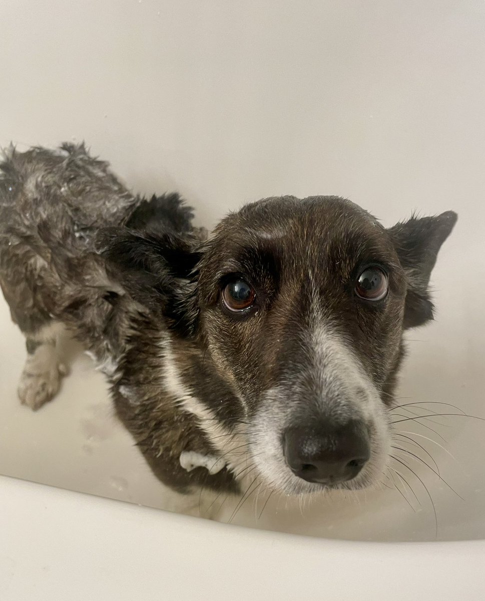 Jā, Berta, ir kļūdas, par kurām jāmaksā ir uzreiz.