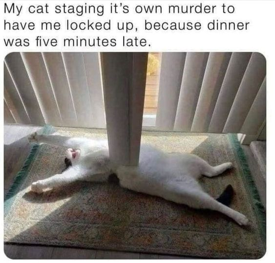 WholesomeMeme's tweet photo. https://t.co/9ir0yQtwh5