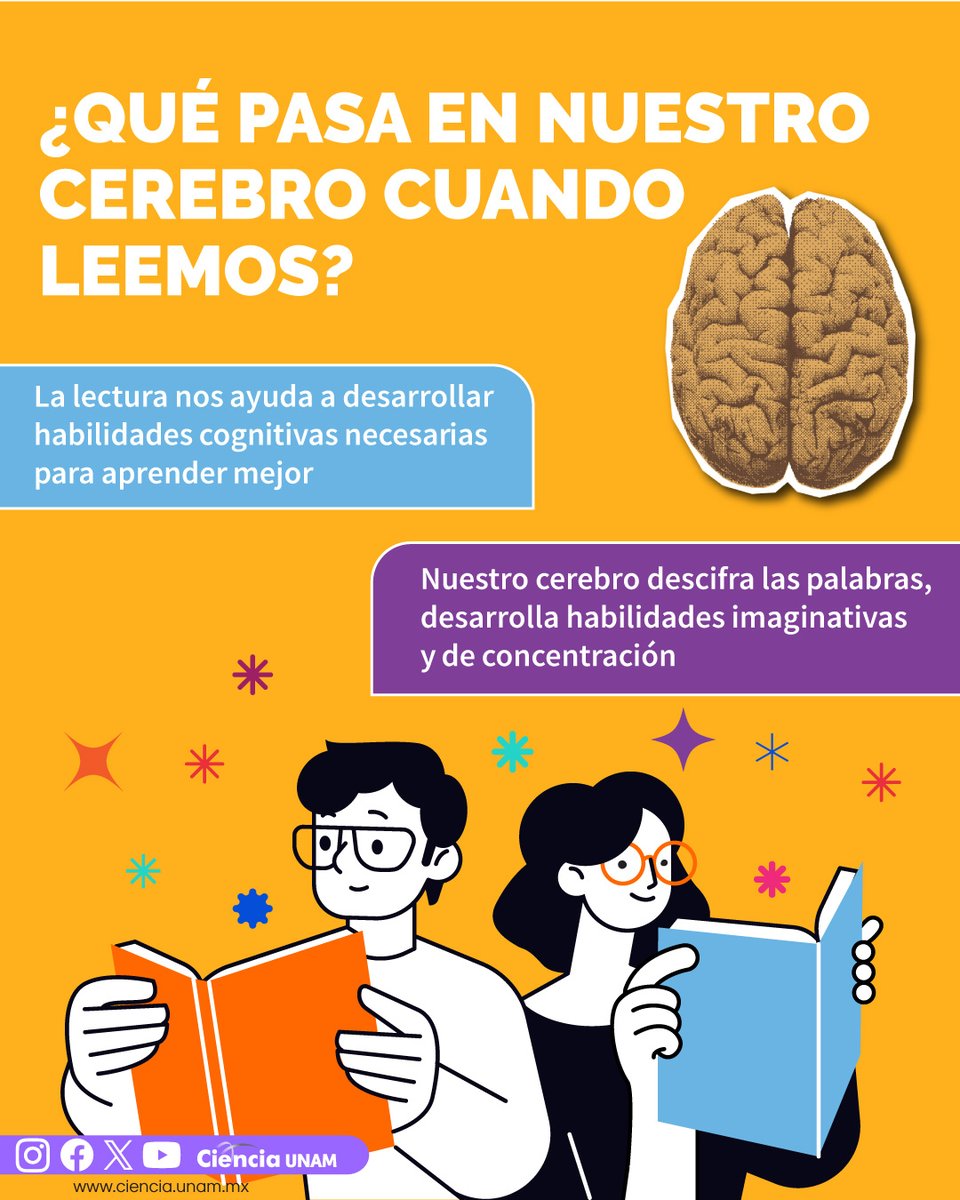 Ciencia_UNAM's tweet photo. #CulturaySociedad |  Cuando #leemos, en nuestro cerebro se activa un área específica del encéfalo, que hace que las #neuronas se #estimulen y los vasos sanguíneos liberan nutrientes.
Te contamos más: https://t.co/ekHHJRS9lZ https://t.co/NMfIhK2li6