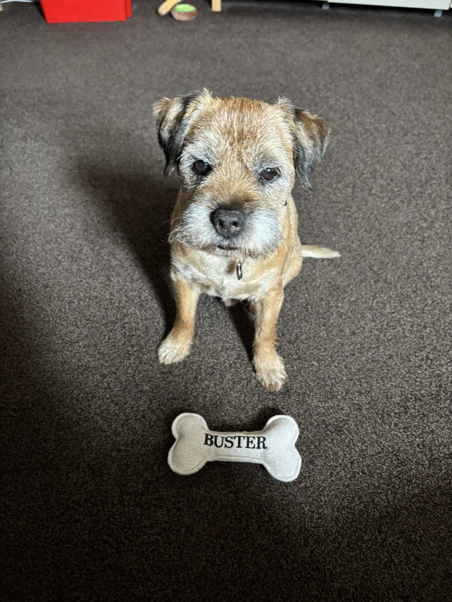 Me and my bone