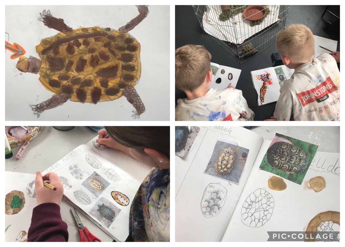 GomersalArt's tweet image. Year 4 have experienced drawing from a real life model today. Sheldon the tortoise was quite good at keeping reasonably still, while we compared drawing from observation and photographs #arted #ks2art #primaryart #observationaldrawing #sketchbook #artteacher